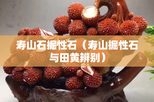 壽山石掘性石（壽山掘性石與田黃辨別）