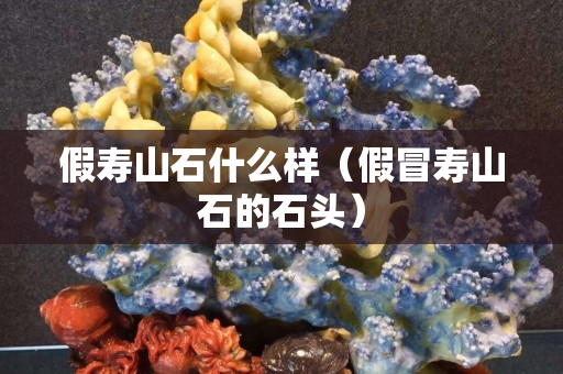 假壽山石什么樣（假冒壽山石的石頭）