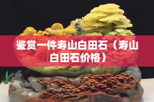 鑒賞一件壽山白田石（壽山白田石價格）