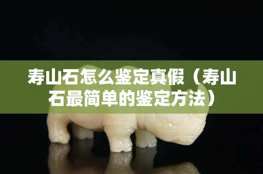 壽山石怎么鑒定真假（壽山石最簡(jiǎn)單的鑒定方法）