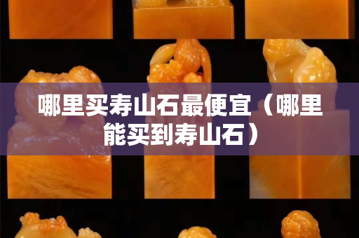 哪里買壽山石最便宜（哪里能買到壽山石）
