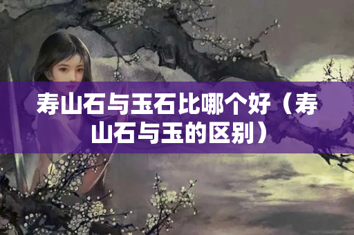 壽山石與玉石比哪個好（壽山石與玉的區別）
