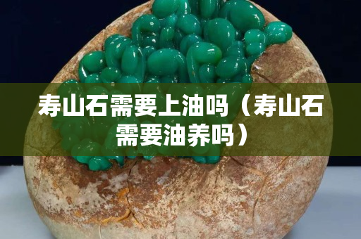 壽山石需要上油嗎（壽山石需要油養(yǎng)嗎）