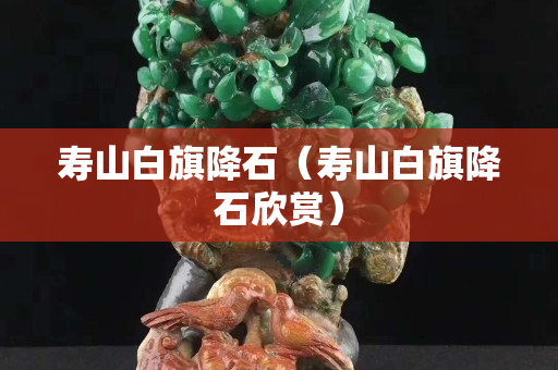 壽山白旗降石（壽山白旗降石欣賞）