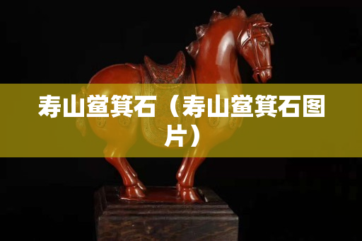 壽山鱟箕石（壽山鱟箕石圖片）