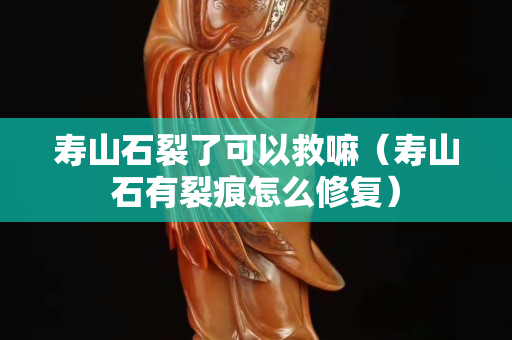 壽山石裂了可以救嘛（壽山石有裂痕怎么修復）