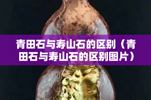 青田石與壽山石的區別（青田石與壽山石的區別圖片）