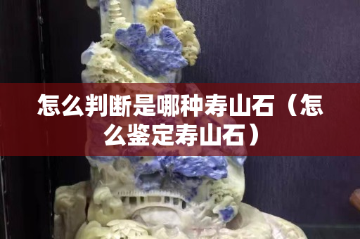 怎么判斷是哪種壽山石（怎么鑒定壽山石）