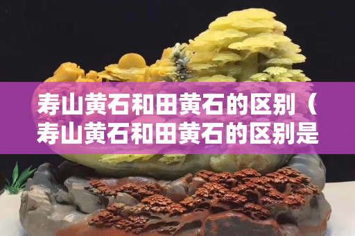 壽山黃石和田黃石的區(qū)別（壽山黃石和田黃石的區(qū)別是什么）