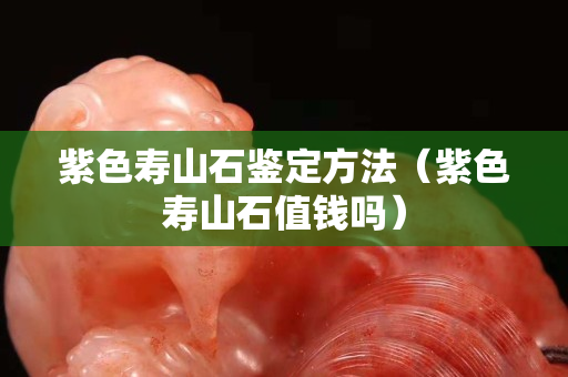 紫色壽山石鑒定方法（紫色壽山石值錢嗎）