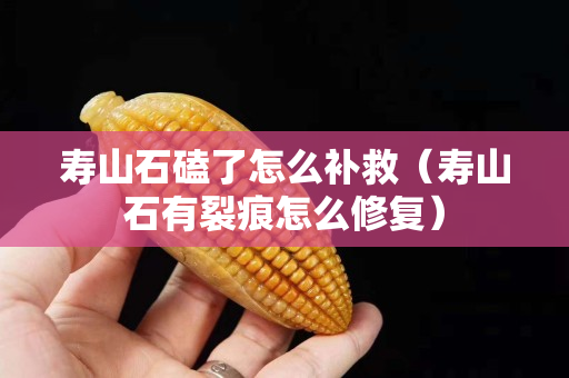 壽山石磕了怎么補救（壽山石有裂痕怎么修復）