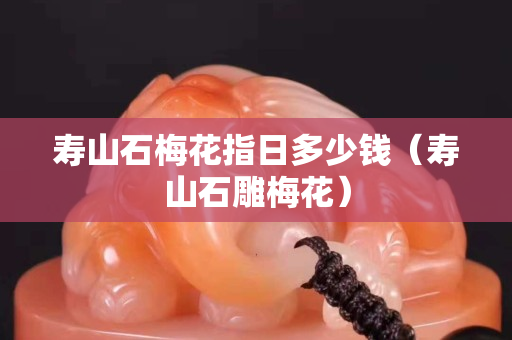 壽山石梅花指日多少錢（壽山石雕梅花）