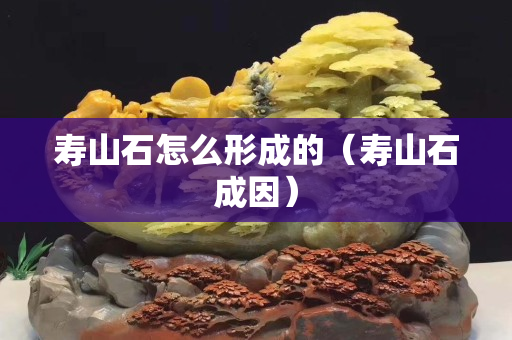 壽山石怎么形成的（壽山石成因）