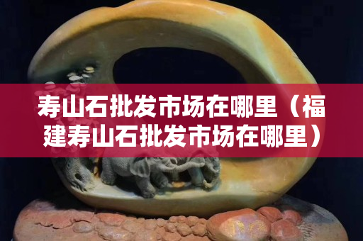 壽山石批發(fā)市場在哪里（福建壽山石批發(fā)市場在哪里）