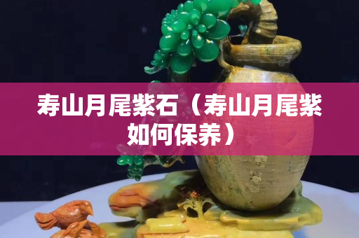 壽山月尾紫石（壽山月尾紫如何保養）