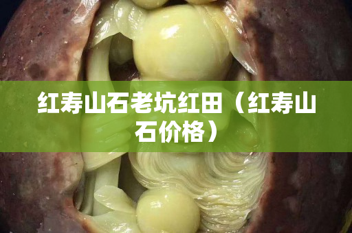 紅壽山石老坑紅田（紅壽山石價(jià)格）