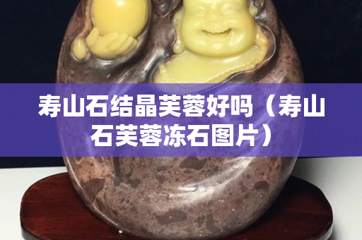 壽山石結晶芙蓉好嗎（壽山石芙蓉凍石圖片）