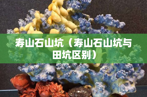 壽山石山坑（壽山石山坑與田坑區(qū)別）