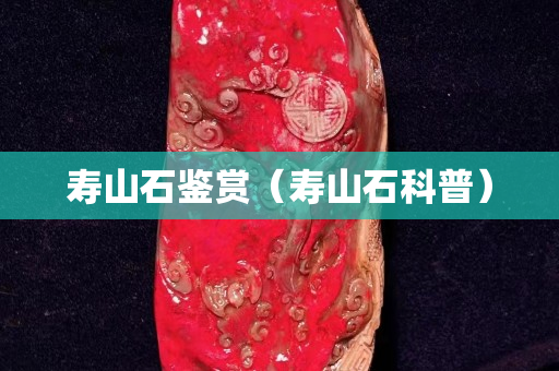 壽山石鑒賞（壽山石科普）