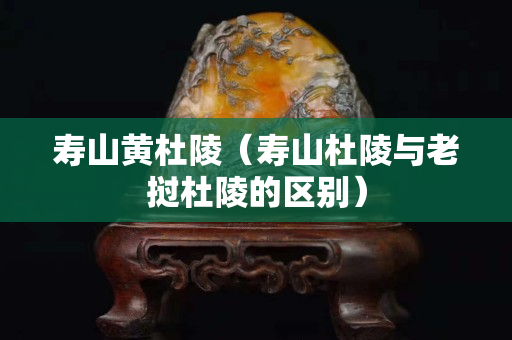壽山黃杜陵（壽山杜陵與老撾杜陵的區別）
