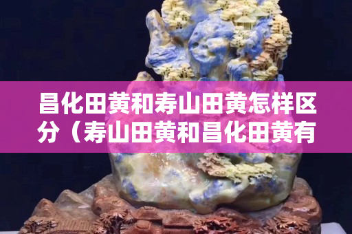 昌化田黃和壽山田黃怎樣區(qū)分（壽山田黃和昌化田黃有差別嗎）