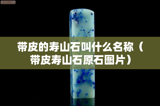 帶皮的壽山石叫什么名稱（帶皮壽山石原石圖片）