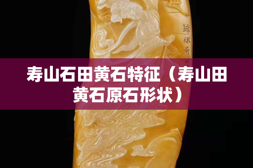 壽山石田黃石特征（壽山田黃石原石形狀）
