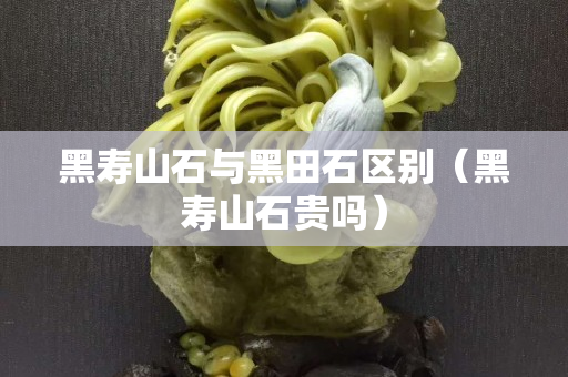 黑壽山石與黑田石區別（黑壽山石貴嗎）