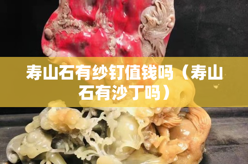壽山石有紗釘值錢嗎（壽山石有沙丁嗎）