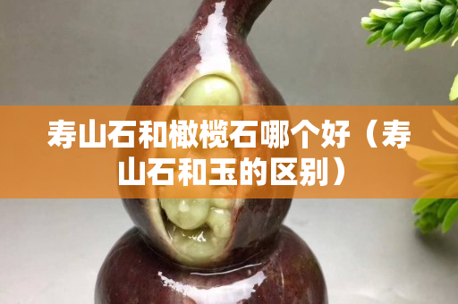 壽山石和橄欖石哪個好（壽山石和玉的區別）