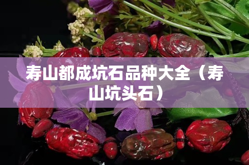 壽山都成坑石品種大全（壽山坑頭石）