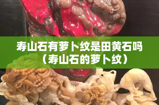 壽山石有蘿卜紋是田黃石嗎（壽山石的蘿卜紋）