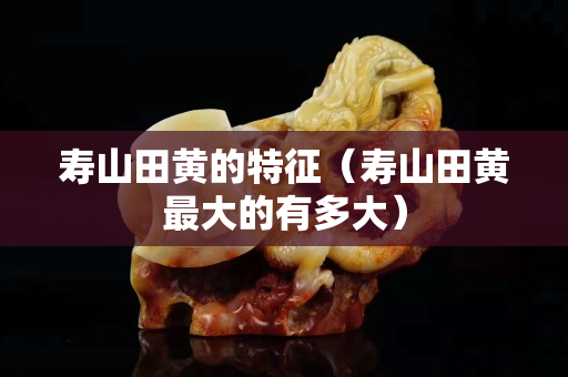 壽山田黃的特征（壽山田黃最大的有多大）