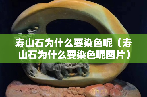 壽山石為什么要染色呢（壽山石為什么要染色呢圖片）