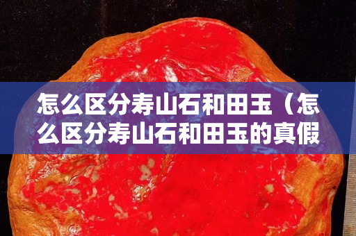 怎么區分壽山石和田玉（怎么區分壽山石和田玉的真假）