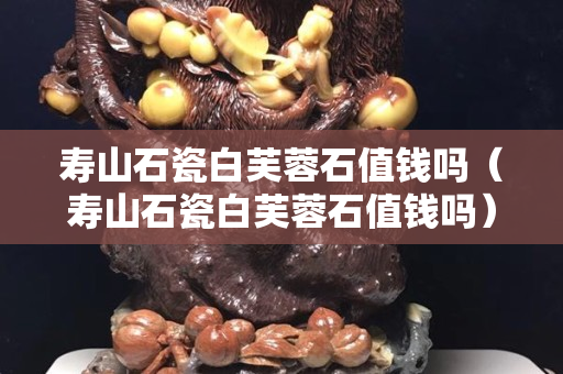 壽山石瓷白芙蓉石值錢嗎（壽山石瓷白芙蓉石值錢嗎）