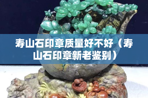 壽山石印章質量好不好（壽山石印章新老鑒別）