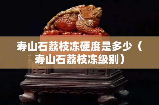 壽山石荔枝凍硬度是多少（壽山石荔枝凍級別）