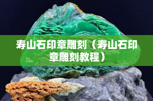 壽山石印章雕刻（壽山石印章雕刻教程）