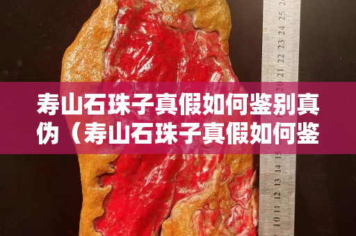 壽山石珠子真假如何鑒別真偽（壽山石珠子真假如何鑒別真偽視頻）