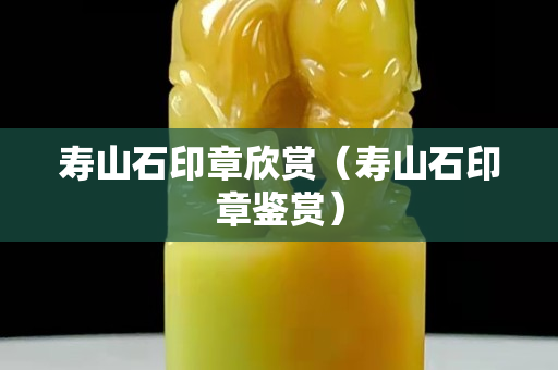 壽山石印章欣賞（壽山石印章鑒賞）