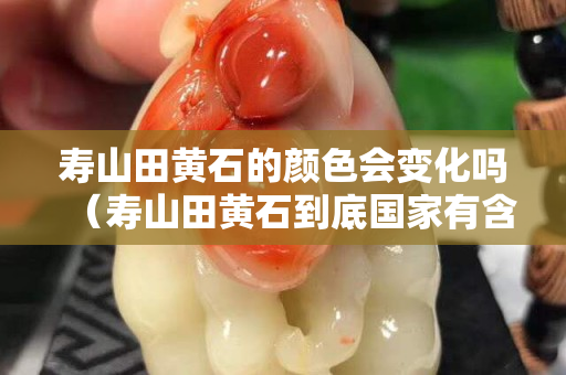 壽山田黃石的顏色會變化嗎（壽山田黃石到底國家有含量標準嗎）