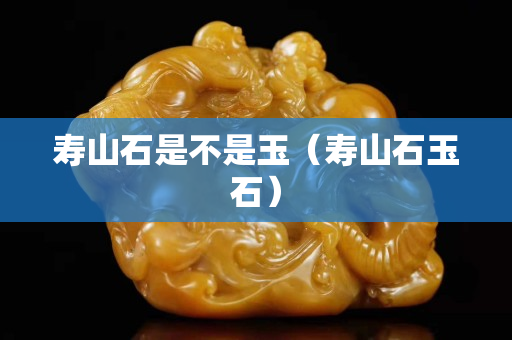 壽山石是不是玉（壽山石玉石）