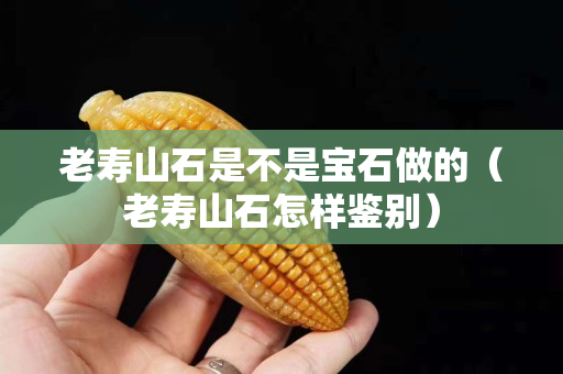 老壽山石是不是寶石做的（老壽山石怎樣鑒別）
