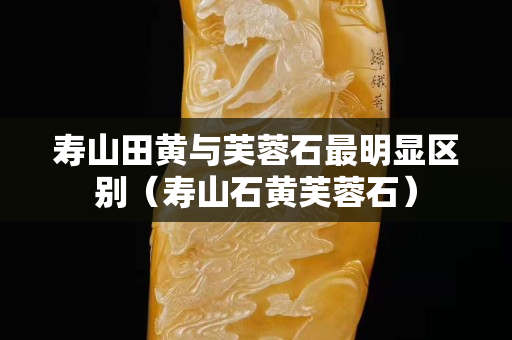 壽山田黃與芙蓉石最明顯區(qū)別（壽山石黃芙蓉石）