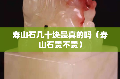 壽山石幾十塊是真的嗎（壽山石貴不貴）
