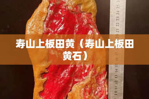 壽山上板田黃（壽山上板田黃石）