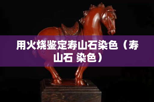 用火燒鑒定壽山石染色（壽山石 染色）