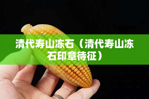 清代壽山凍石（清代壽山凍石印章待征）