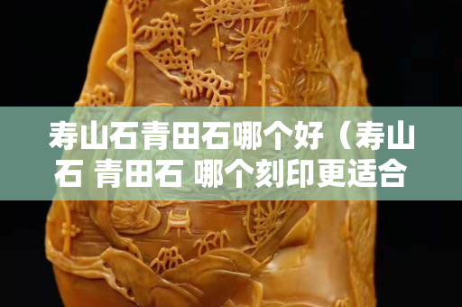 壽山石青田石哪個好（壽山石 青田石 哪個刻印更適合）